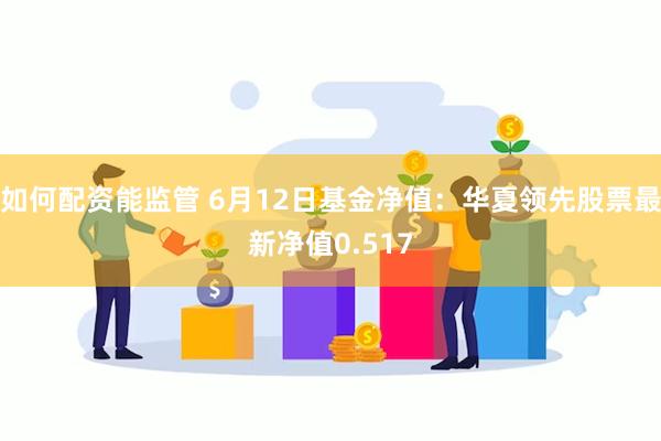 如何配资能监管 6月12日基金净值：华夏领先股票最新净值0.517