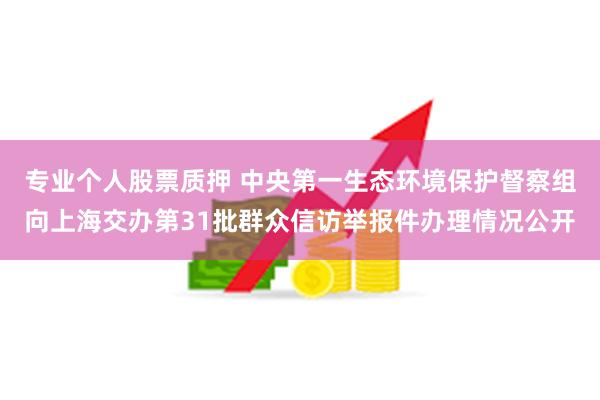 专业个人股票质押 中央第一生态环境保护督察组向上海交办第31批群众信访举报件办理情况公开