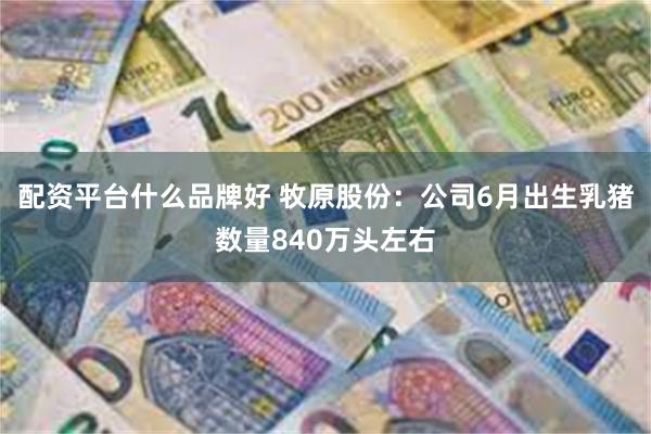 配资平台什么品牌好 牧原股份：公司6月出生乳猪数量840万头左右