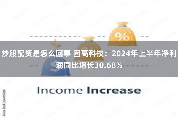 炒股配资是怎么回事 固高科技：2024年上半年净利润同比增长30.68%