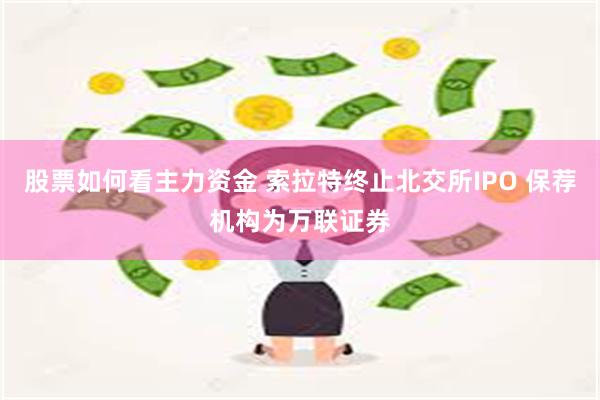 股票如何看主力资金 索拉特终止北交所IPO 保荐机构为万联证券