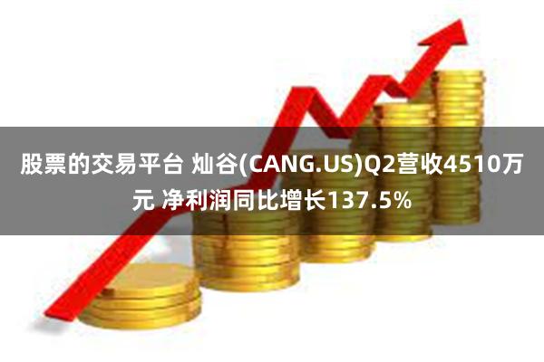 股票的交易平台 灿谷(CANG.US)Q2营收4510万元 净利润同比增长137.5%