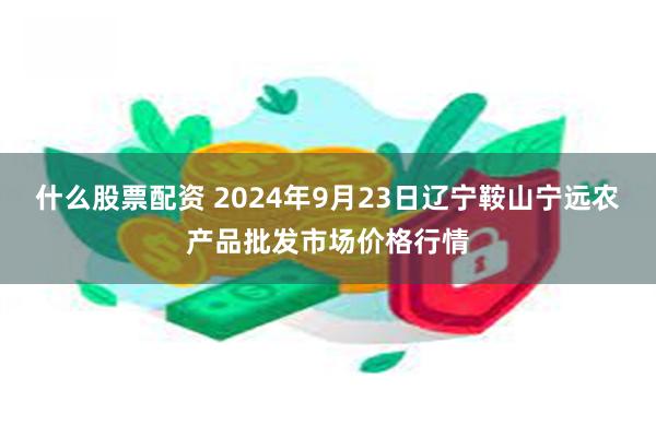 什么股票配资 2024年9月23日辽宁鞍山宁远农产品批发市场价格行情