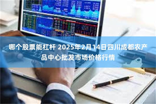 哪个股票能杠杆 2025年2月14日四川成都农产品中心批发市场价格行情