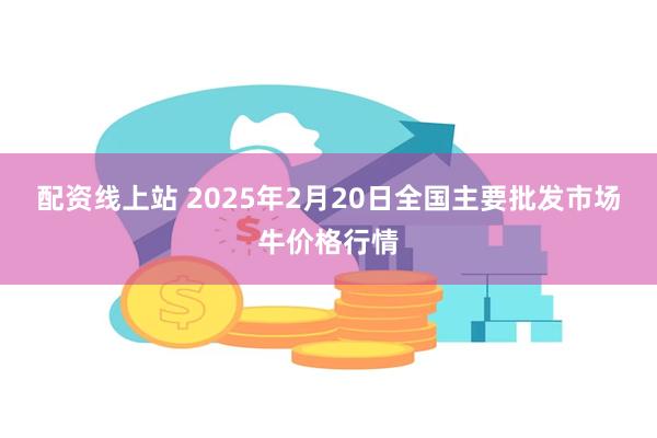 配资线上站 2025年2月20日全国主要批发市场牛价格行情