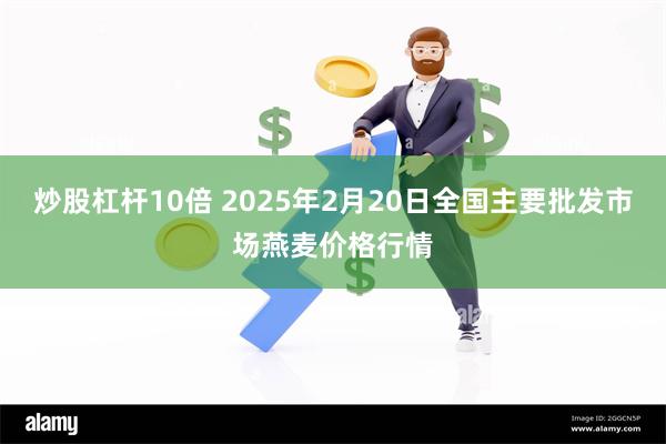 炒股杠杆10倍 2025年2月20日全国主要批发市场燕麦价格行情