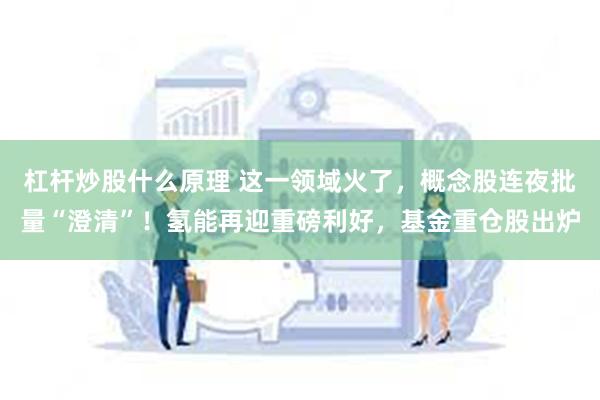 杠杆炒股什么原理 这一领域火了，概念股连夜批量“澄清”！氢能再迎重磅利好，基金重仓股出炉